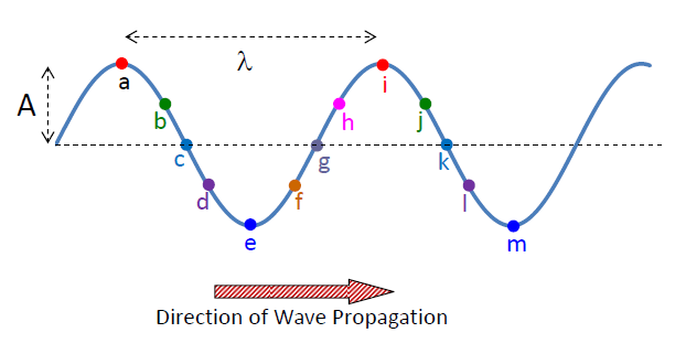 T waveform