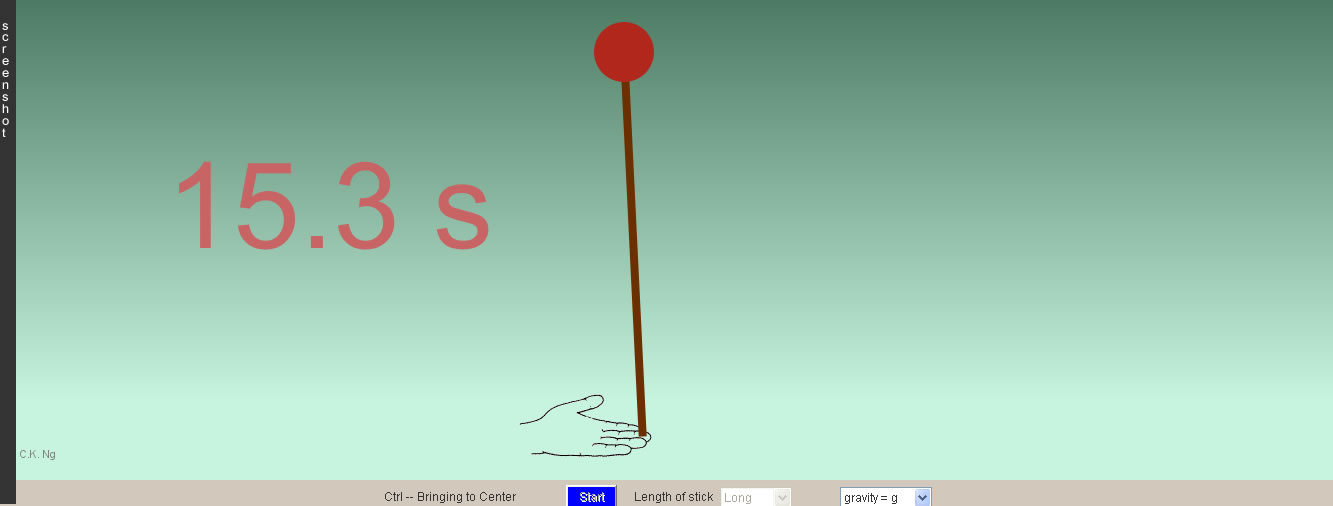Balancing Pole