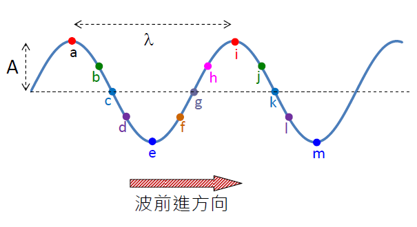 T waveform